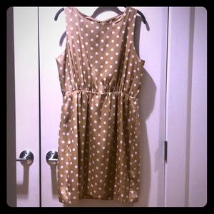 J. Crew Tan/White Polka Dot Dress